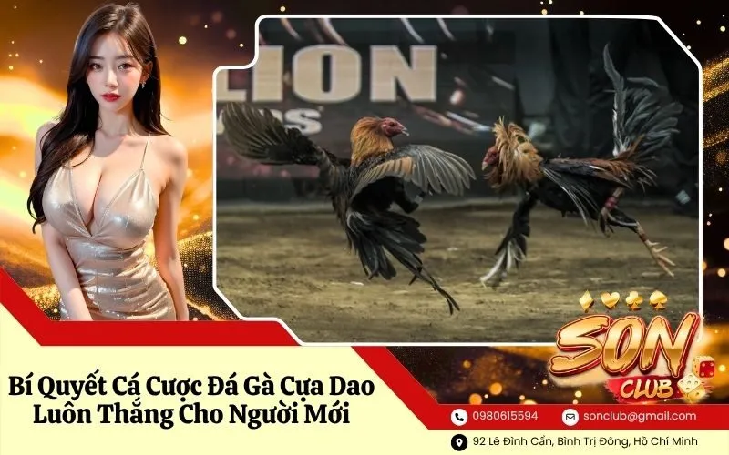 Bí Quyết Cá Cược Đá Gà Cựa Dao Luôn Thắng Cho Người Mới