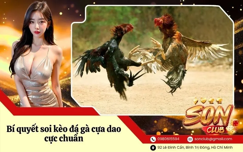 Bí quyết soi kèo đá gà cựa dao cực chuẩn