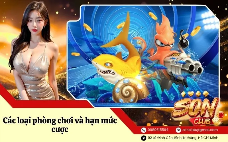 Các loại phòng chơi và hạn mức cược