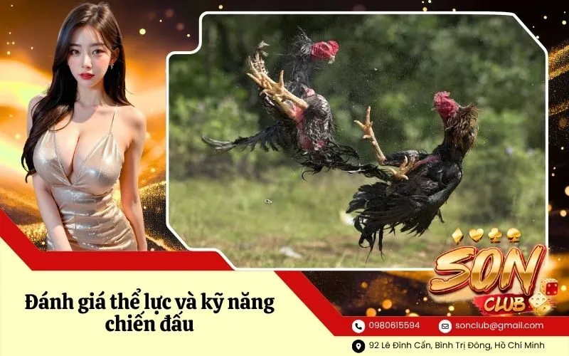 Đánh giá thể lực và kỹ năng chiến đấu