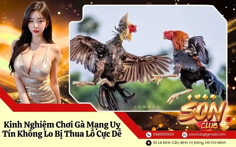Kinh Nghiệm Chơi Gà Mạng Uy Tín Không Lo Bị Thua Lỗ Cực Dễ