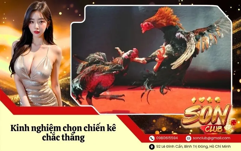 Kinh nghiệm chọn chiến kê chắc thắng