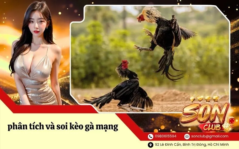 phân tích và soi kèo gà mạng