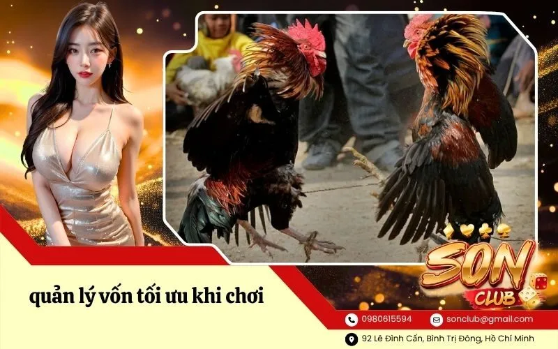 quản lý vốn tối ưu khi chơi